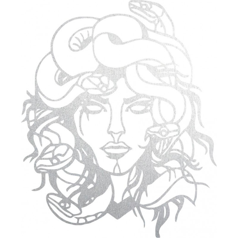 Das Bild an der Wand msdúza Frau - MEDUSA GORGONA