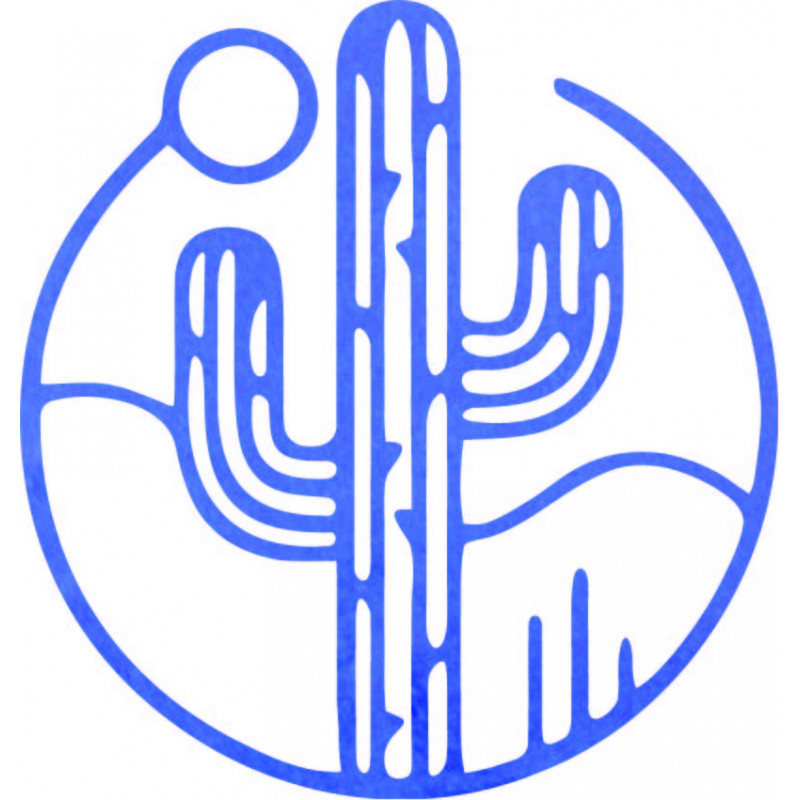 Hölzernes Wandbild eines Kaktus mit Sonne - MONK