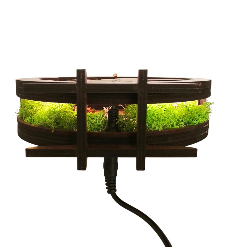 LED-Dekoration „Kleiner Prinz mit Flugzeug“ |...