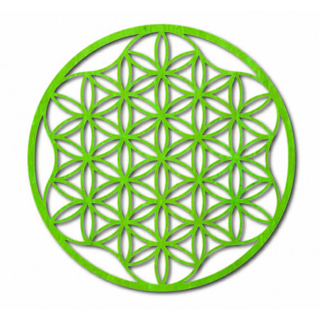 Ein Bild eines Mandalas auf einer Sperrholzwand bis 120 cm